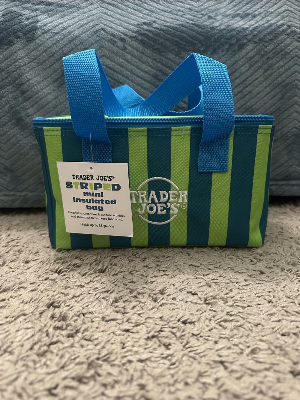 Trader Joe's Blue and Green Striped Insulated Mini Bag